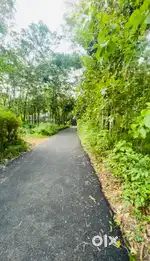 25 cent plot Pazhangalam heavy vehicle road