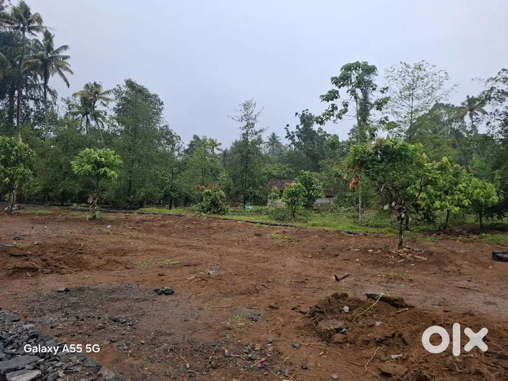 5 cents to 30 cent  land for sale Angamaly Elavoor