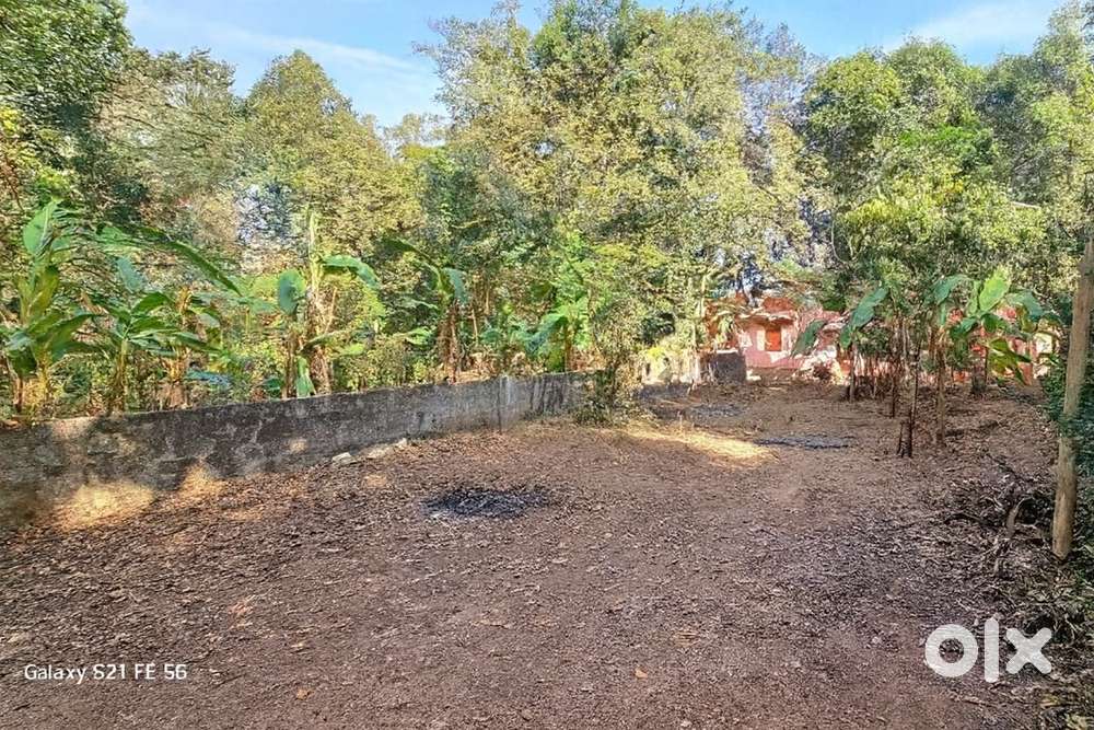 6 Cents Land for Sale – Nedumangad (Near KSRTC Bus Stand)