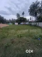 MUKKAMALA MAIN ROAD