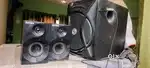 Intex woofer