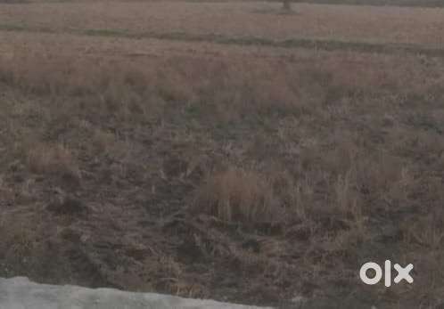 Jmeen obc ki h napi hai document clear hai