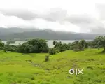 Neera Deoghar Dam VIEW FARM HOUSE PLOT FOR SALE