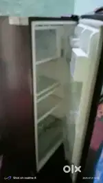 Fridge for seal