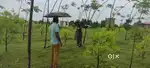Open plots for sale