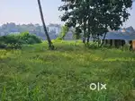 Aluva seaport road river side 38cent land for sale