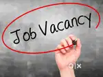 Job opportunities