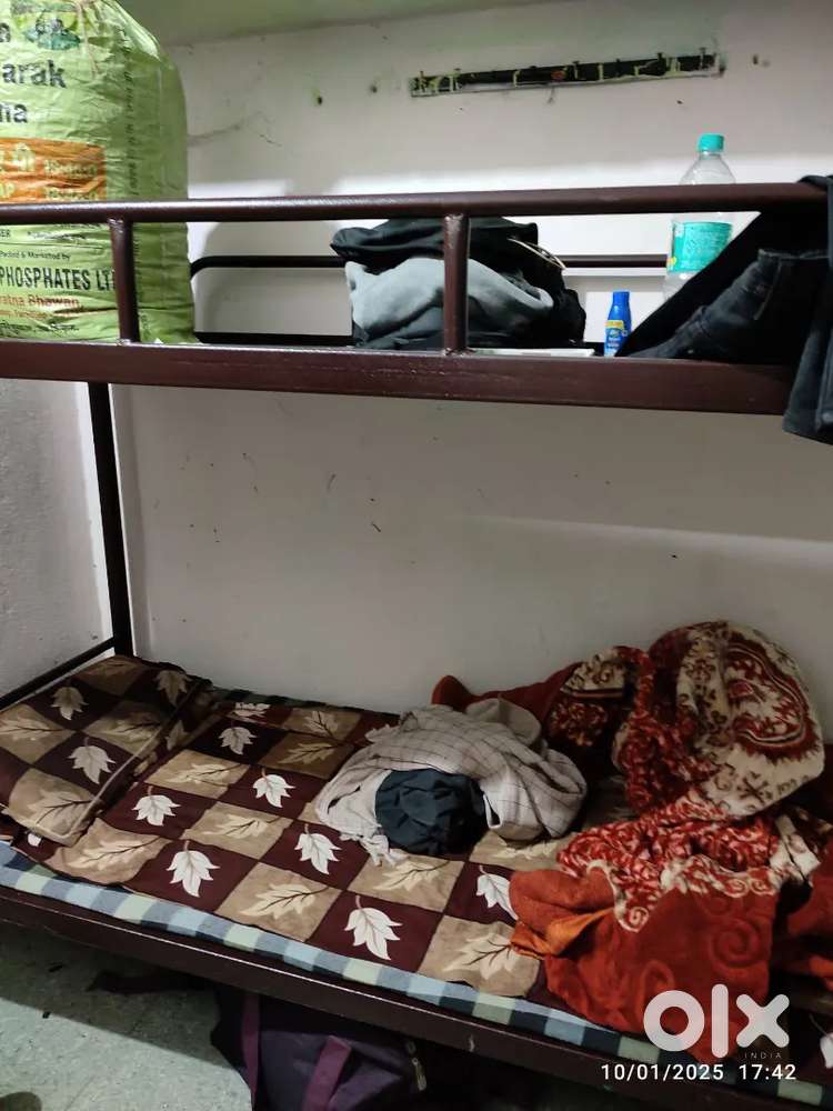 To Let only for boys chamber