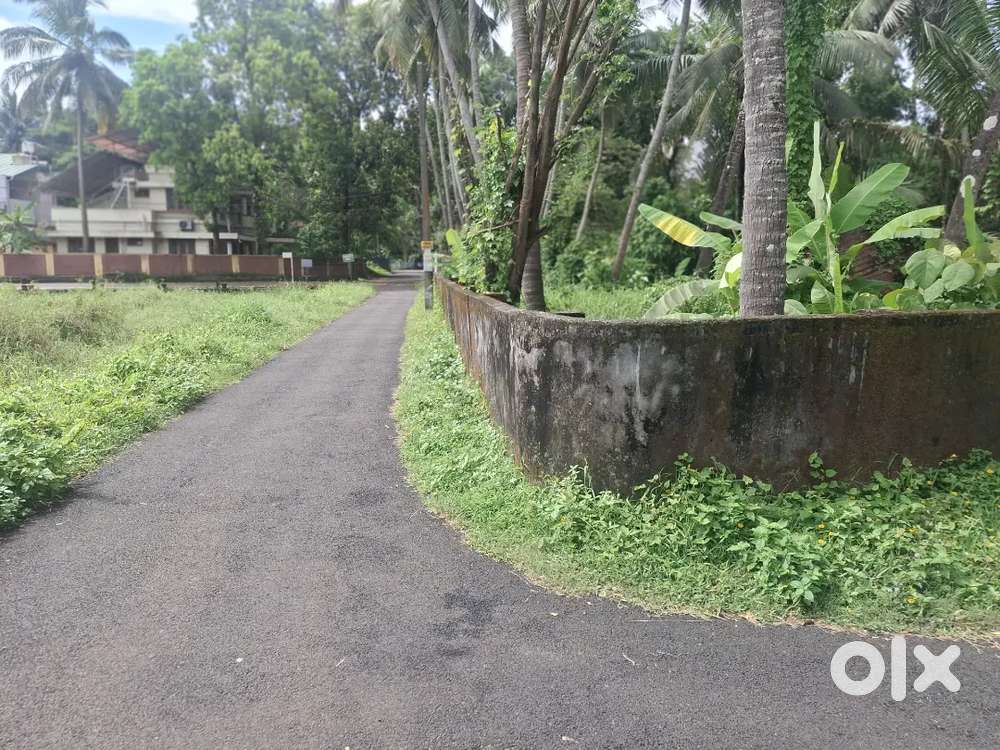 10 cent house plot in chembookave 5.50 lakh