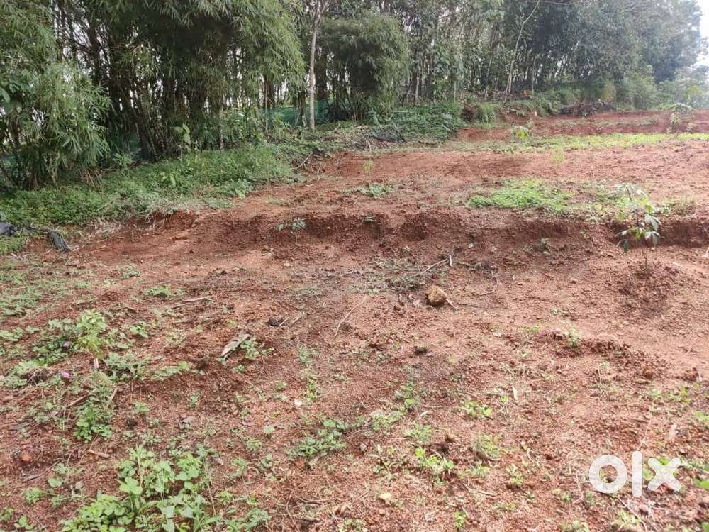 1 ACRE SQUARE PLOT FOR RENT