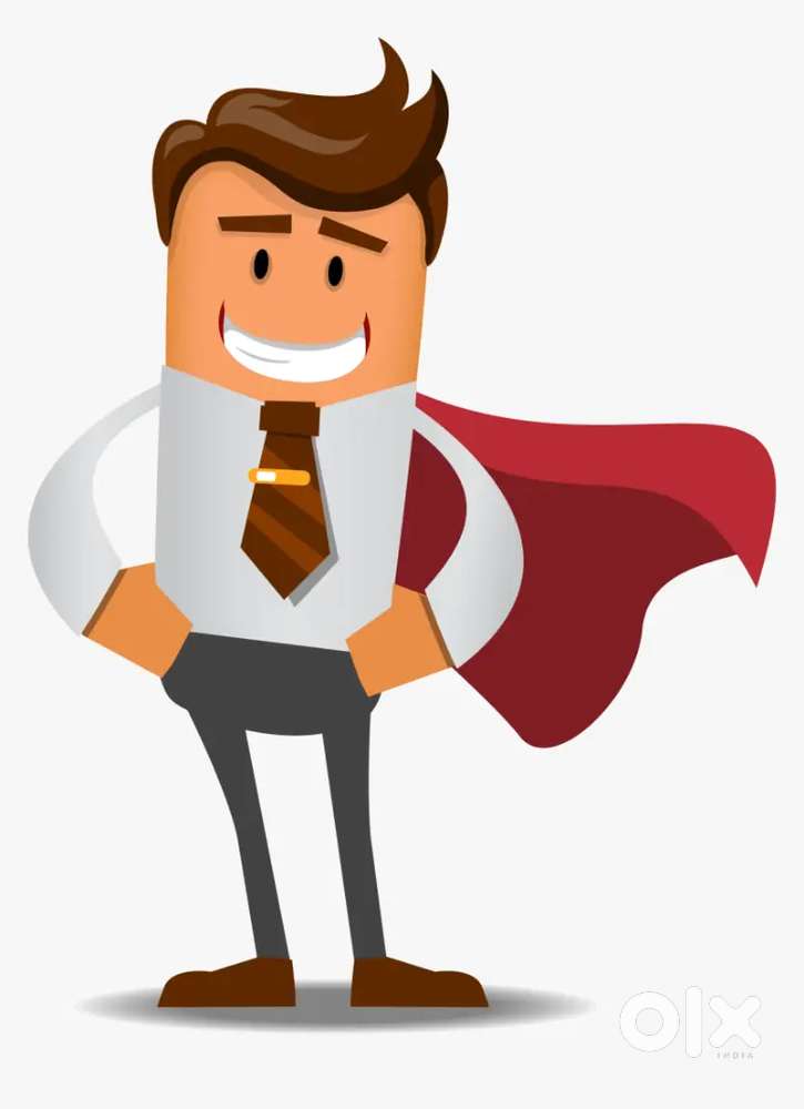 Collection Executive