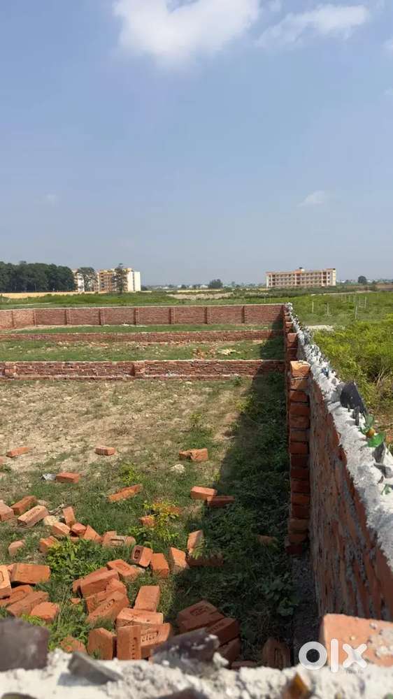 Plots available in Doiwala @15000/ sq ud
