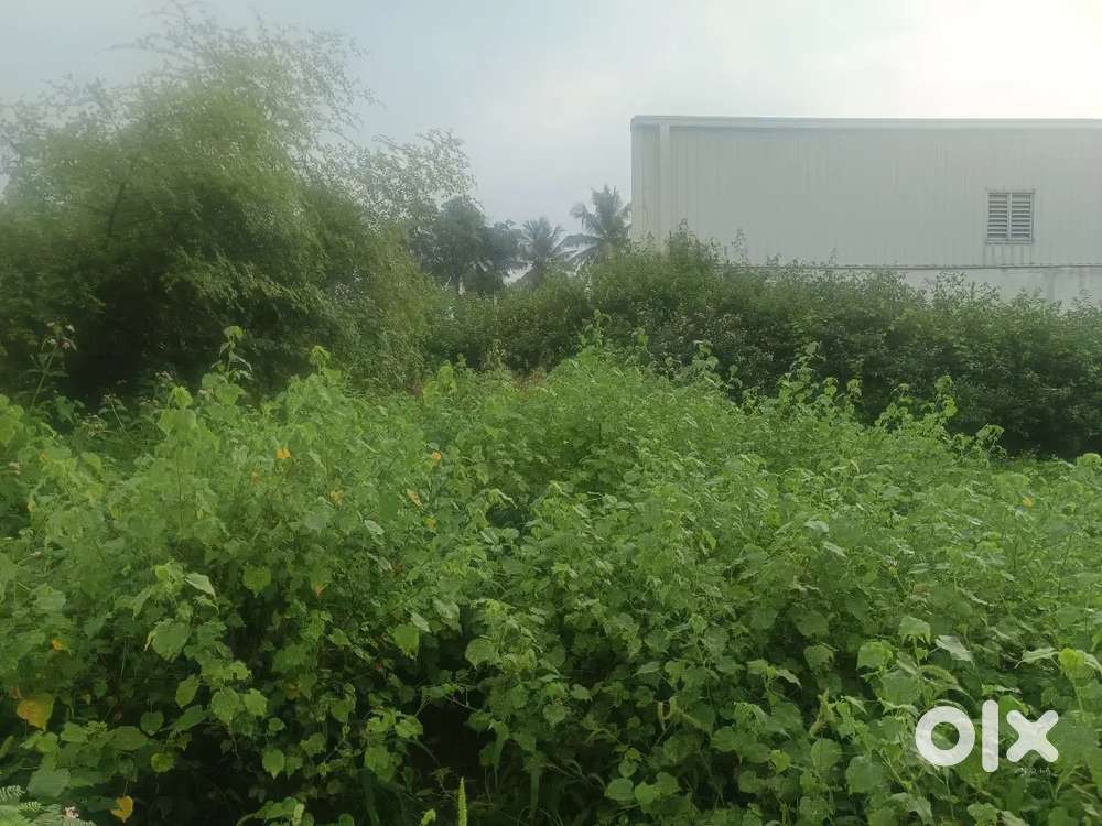 Valapady  to belur road