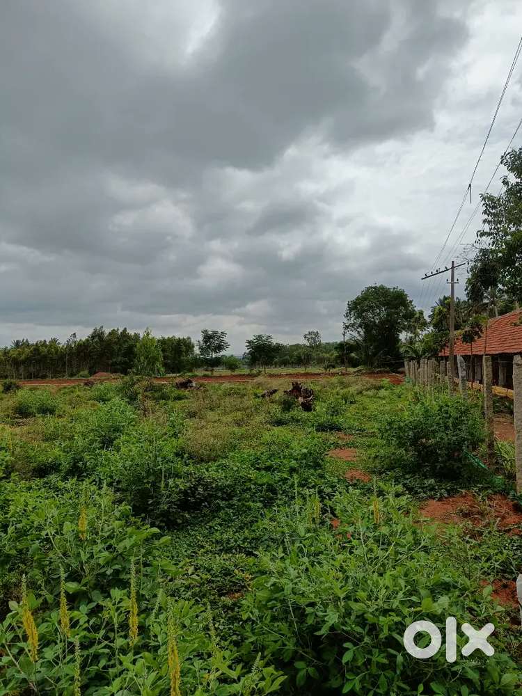 Hoskote taluk Doddanallurahally, Karnataka 562114