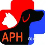 Front Desk Receptionist – Reputed Pet Hospital (Anchal)