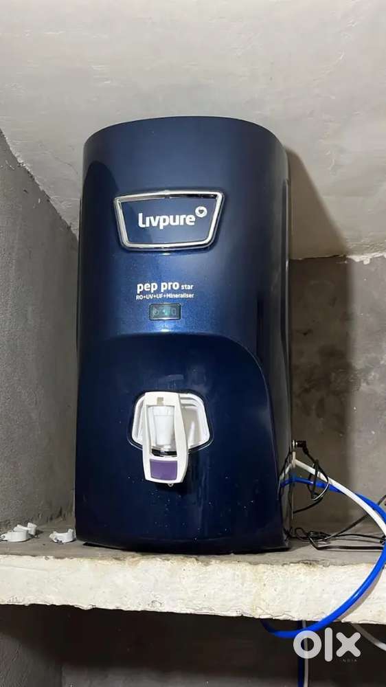 Filter water purifier
