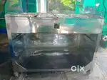New curry point for sale
