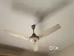 Heavy coil USHA 5 ceiling fans in perfect working condition