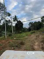 22.5centmeenangadi town
