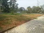 4, 5, cent house plot kakkanad Kizhakkambalam