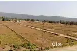 Aatri main road prime location 2.5 bigha urgent sale