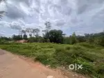 Plot for sale in Adoor