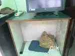 1 year old 3 office tables