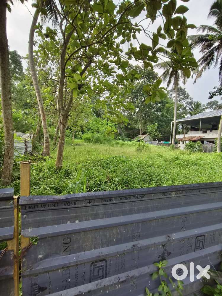 21.5 cent in ആട്ടറമൂല കട്ടച്ചാൽ കുഴി 3.25/cent