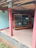 Bakery Counter