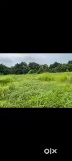 22 gutnha na land