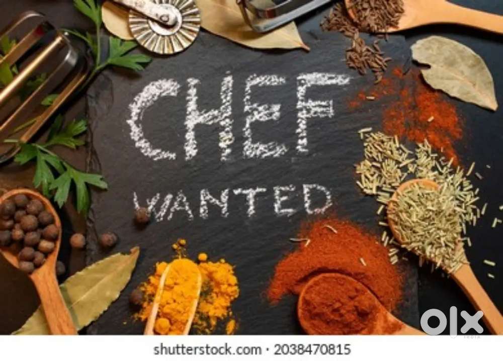 Chef for dosa corner