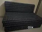 Sofa Cum Bed (4*6)