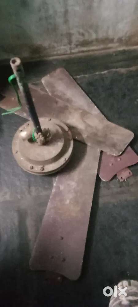 Fan  with wings