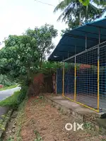 5 Cent land with shed at Kunjakkavila