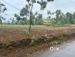 PUTHENCRUZ TOWN 5.5 KM 10/15 CENT PLOTS PALLIKKARA NEAR INFOPARK