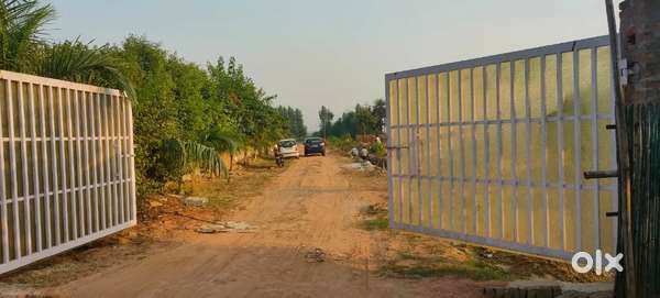 {50गज का प्लॉट} सिर्फ 12लाख में बसावट के बीच (knowledge park 2 में)