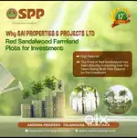 Red sandal wood agriculture farm lands for sale in ananthapur district