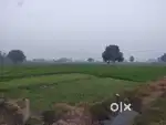 15 Kanal land for sale in Chudiala village, Mohali