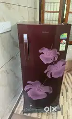 Single door fridge  Kelvinator  3 years used