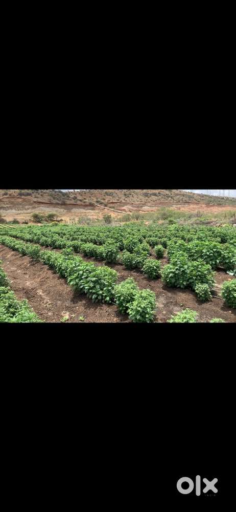1.73 Acre Agriculture land for sale with bore water