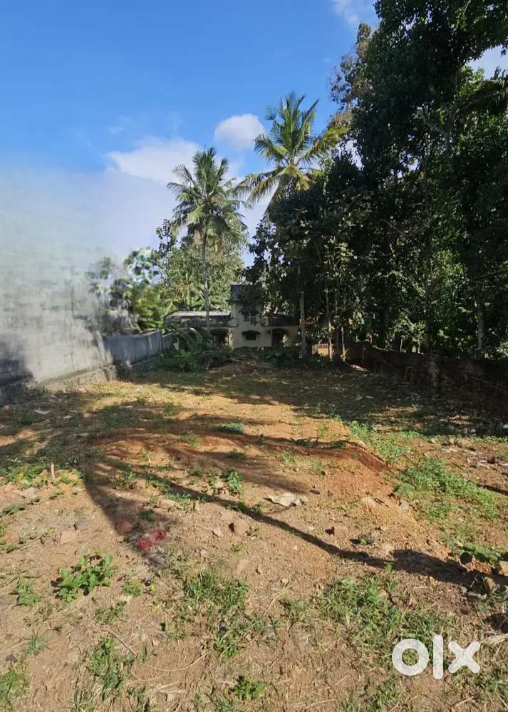 Prime 4.50 cent plot in ullor