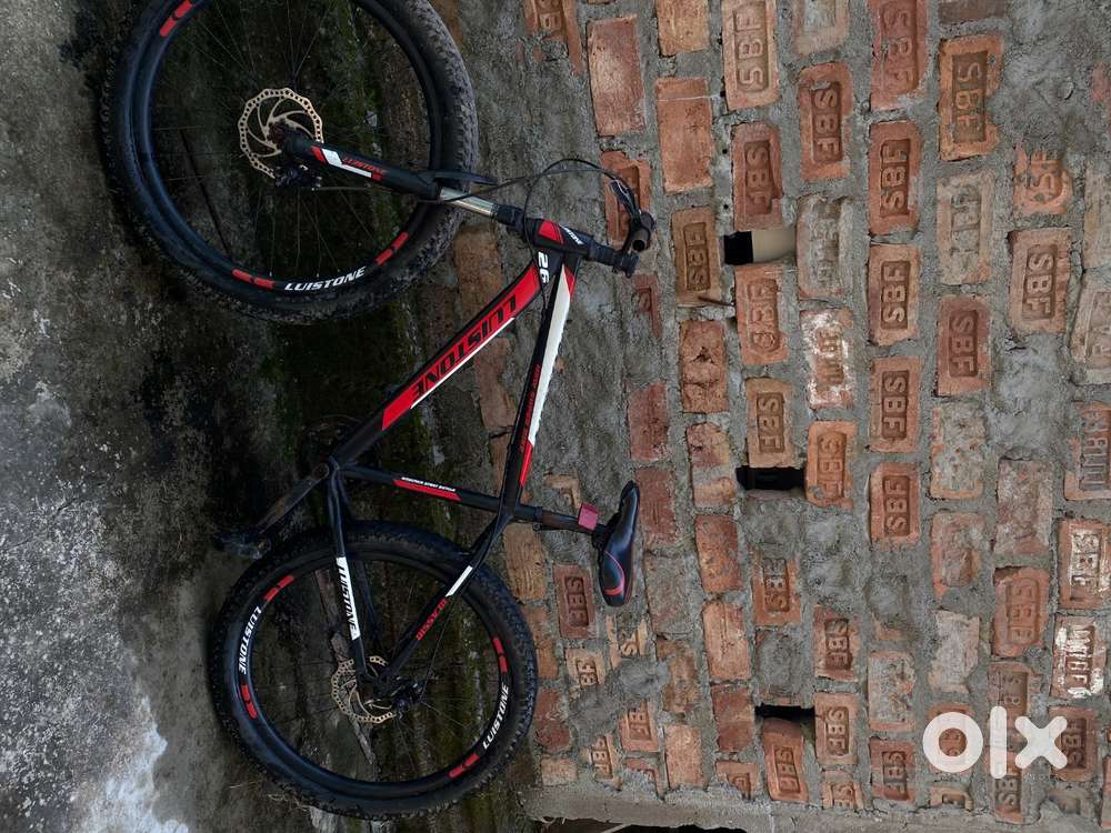 Luistone bicycle, 7 months old