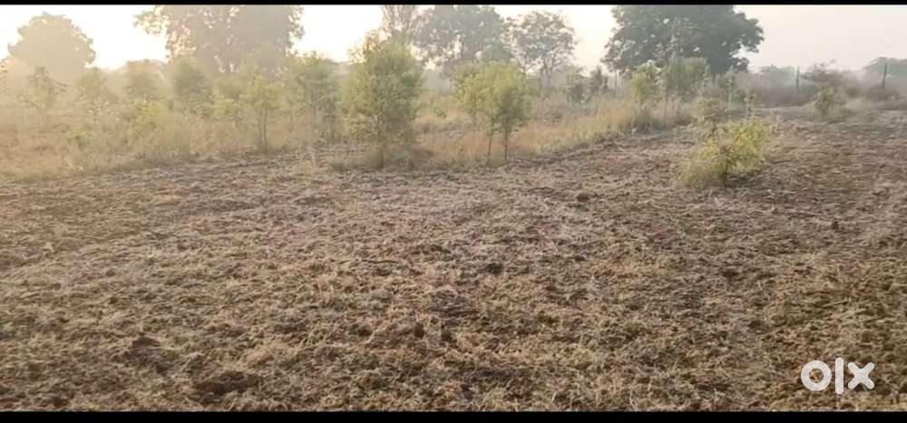 Farm land near Paithan