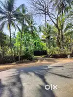 Commerical/Residential land for sale along state highway