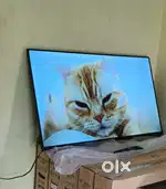 55 inch sony smart Android frameless oled 4k 3yr display waranty 29500