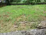 5Cents of Prime Residential Property in Kadavanthra