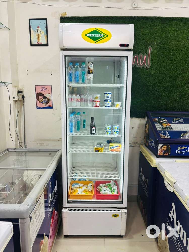 Visi cooler 550 Ltr Western Brand