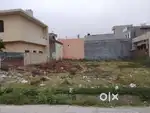 666 gaj plot for sale in Shivpuri B yamuna nagar