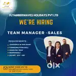 We Are Hiring Sales Managers & Sales Executives & Direct Sales manager