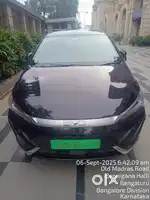 Need 4 Driver's